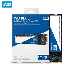 WD BLUE M.2 2280 250GB